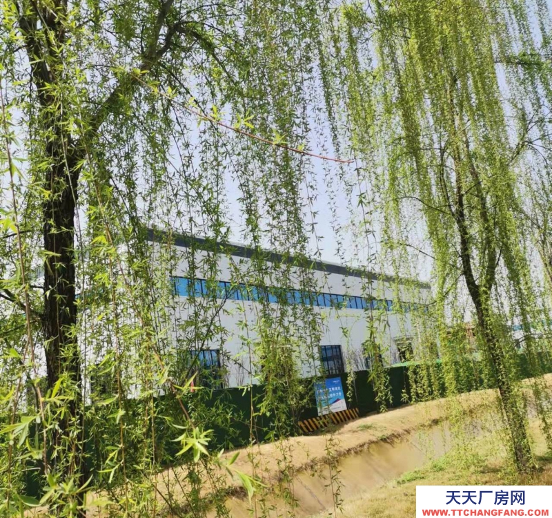(出租)西安蓝田 现房.单层钢构.层高13.1米.预留10吨航吊