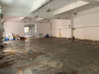 (出租) 中山三乡镇原房东（一楼350平方）小面积厂房出租独层独户空地大图3