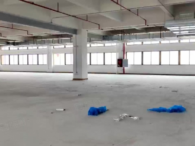 (出租) 中山市三乡镇靠珠海坦州谷都大道旁原房东实际面积4962平方租图2