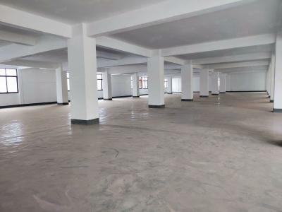 (出租) 中山市三乡镇靠珠海坦州谷都大道旁原房东实际面积4962平方租图3