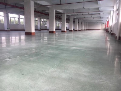 (出租) 中山市三乡镇靠珠海坦州谷都大道旁原房东实际面积4962平方租图4