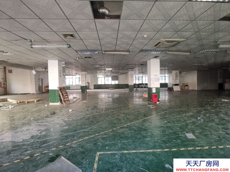 (出租) 中山沙溪新出楼上精装修厂房1300平带地坪漆办公室无行业限制