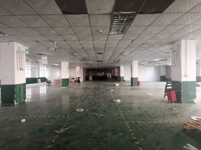 (出租) 中山沙溪新出楼上精装修厂房1300平带地坪漆办公室无行业限制图1