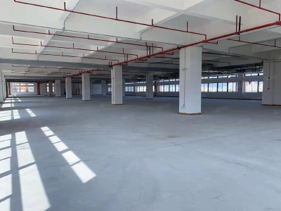 (出租) 中山沙溪霞湖世家厂房出租三押一付 大小可分靠近高速 形象好！交通便利图2