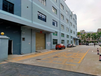 (出租) 中山沙溪 赠!免租期 沙溪镇标准厂房出租 临高速出口 大小面积可分租图3