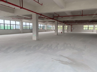 (出租) 中山古镇赠免租期!独院厂房全新红本厂房20000方,面积随意分租图2