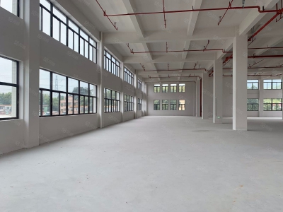 (出租) 中山古镇赠免租期!独院厂房全新红本厂房20000方,面积随意分租图3