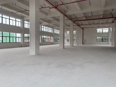 (出租) 中山古镇赠免租期!独院厂房全新红本厂房20000方,面积随意分租图4