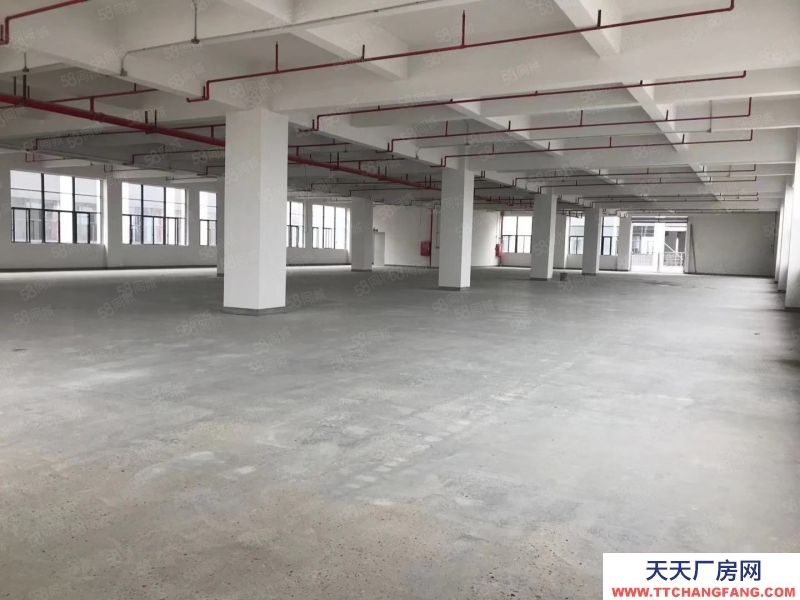 (出租) 中山古镇曹二新出标准厂房5000平大小可分租 原房东带精装修