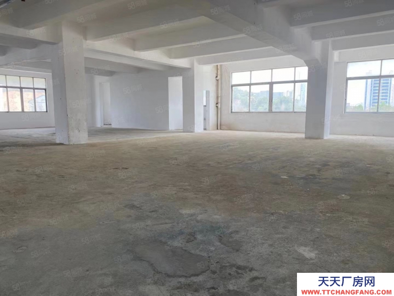 (出租) 中山南区免租期3个月，厂房出租，大小可分租