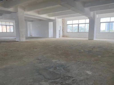 (出租) 中山南区免租期3个月，厂房出租，大小可分租图1