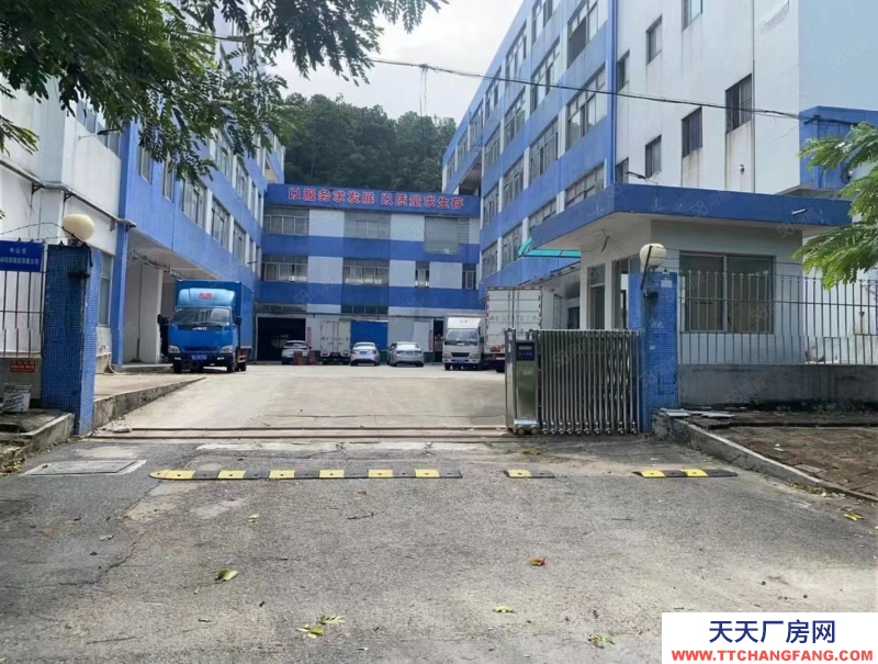 (出租) 中山南区免租期3个月，厂房出租，大小可分租