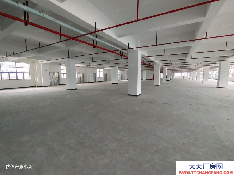 (出租) 中山南区独院厂房出租楼上单层3000平方可分租整个园区3万平