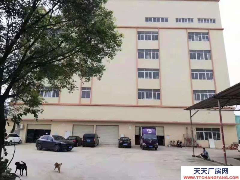 (出租) 中山南区独门独院全新厂房7440方，可分租