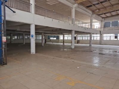 (出租) 中山市南区西环路渡头工业区标准独院厂房8926平米招租图1
