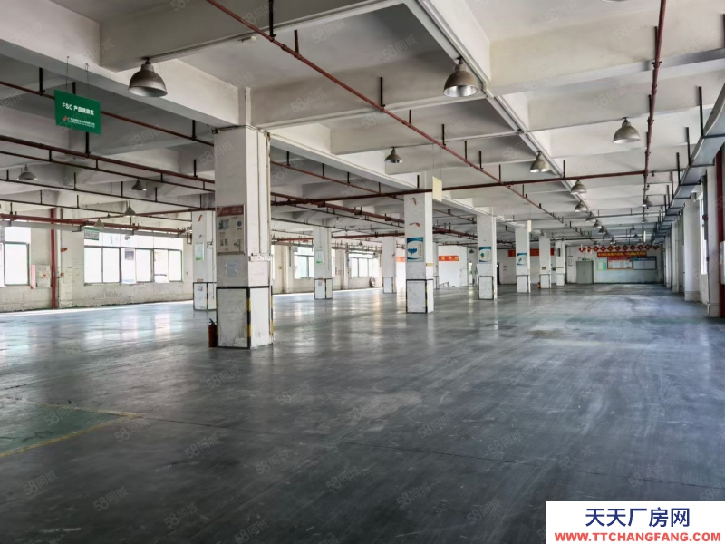 (出租) 中山港口镇正规工业园区独门独院标准厂房25580平米招租可分