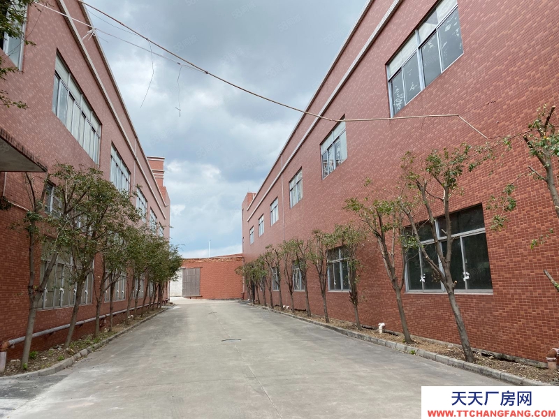 (出租) 中山港口标准厂房出租 大小面积随意分组