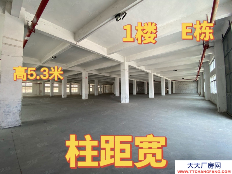 (出租) 中山港口标准厂房出租 大小面积随意分组