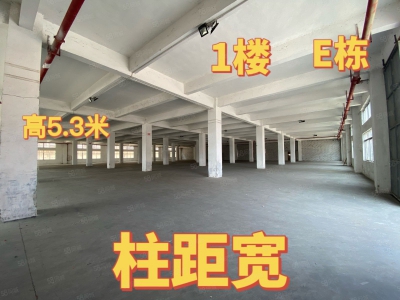 (出租) 中山港口标准厂房出租 大小面积随意分组图1