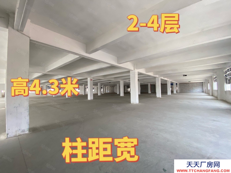 (出租) 中山港口标准厂房出租 大小面积随意分组