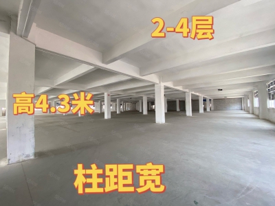(出租) 中山港口标准厂房出租 大小面积随意分组图3