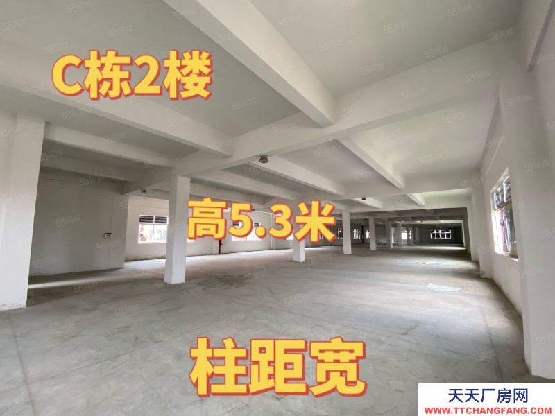 (出租) 中山港口标准厂房出租 大小面积随意分组