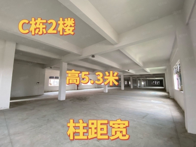 (出租) 中山港口标准厂房出租 大小面积随意分组图4