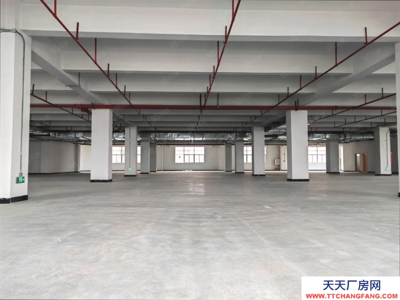(出租) 中山市港口镇全新工业厂房14900平米出租有房产证带消防喷淋