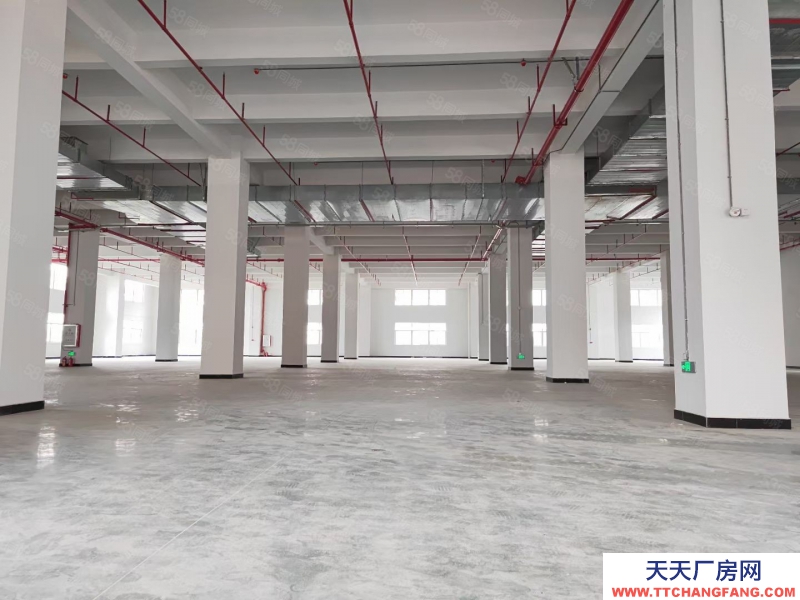 (出租) 中山市港口镇全新工业厂房14900平米出租有房产证带消防喷淋