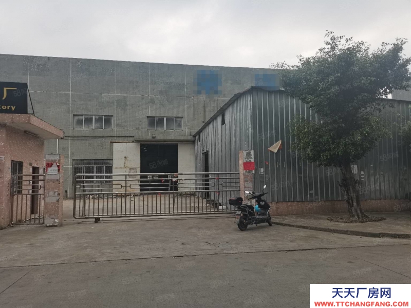 (出租) 中山东升独院！4300方厂房出租 配电大可对公 不限行业可办环评