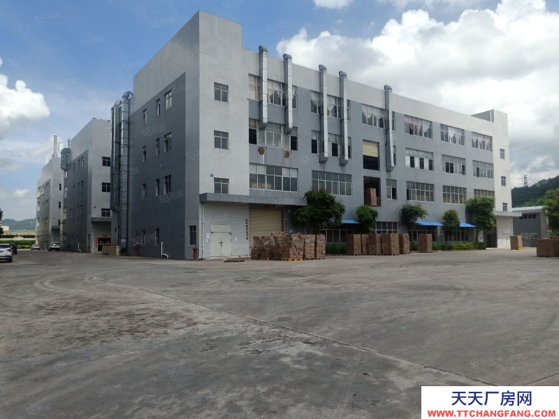 (出租) 中山东升原房东新出工业园红本独院厂房可办环评带精装修500平起分
