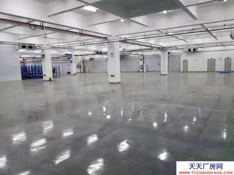 (出租) 中山东升原房东新出工业园红本独院厂房可办环评带精装修500平起分