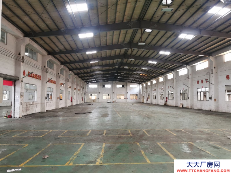 (出租) 中山东升高沙4500方独院星棚出租