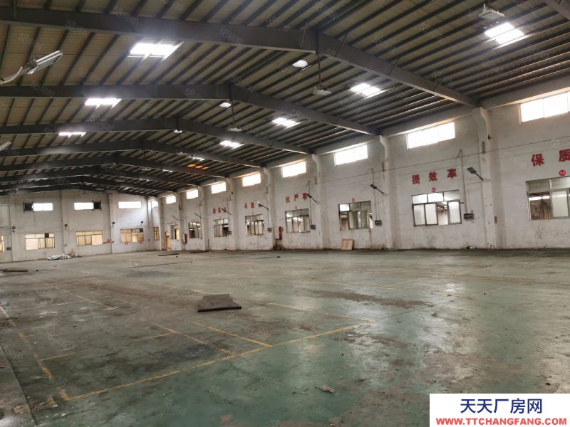 (出租) 中山东升高沙4500方独院星棚出租