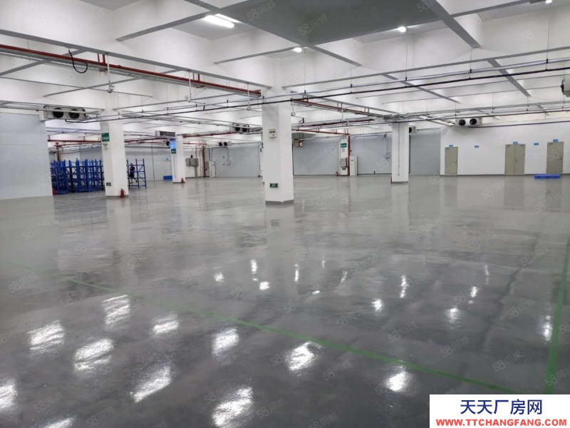 (出租) 中山东升镇钜惠！标准厂房 大小面积随意分 临高速路 厂房仓库出租