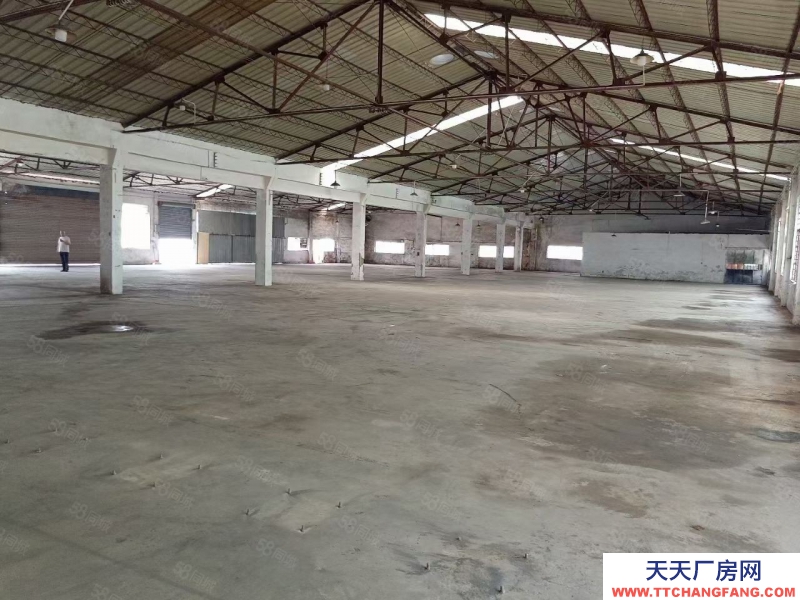 (出租) 中山南朗独门独院单一层2800方招租可分租