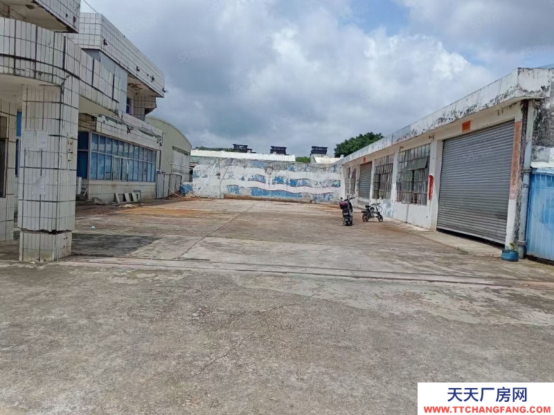 (出租) 中山南朗独门独院单一层2800方招租可分租
