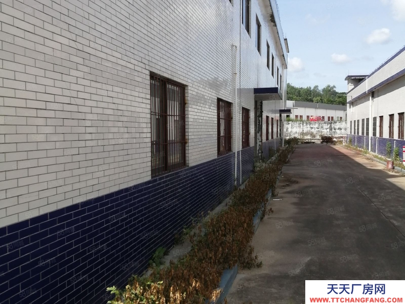 (出租) 中山南朗独栋标准厂房2600方招租，价格优惠