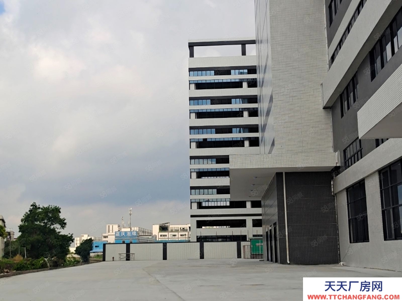 (出租) 中山东凤自建全新厂房招租
