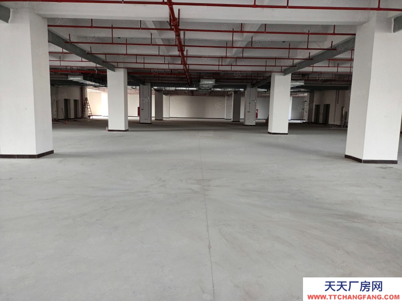 (出租) 中山东凤电子城旁全新厂房每层3000，500方起分，房东包装修