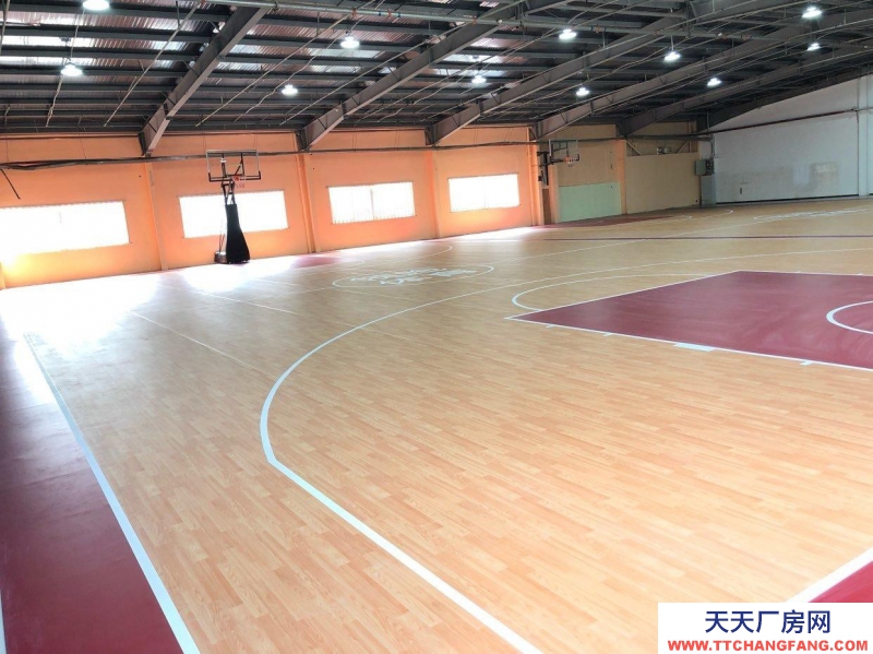 (出租) 西安新城标准篮球场地，4个篮板可升降。