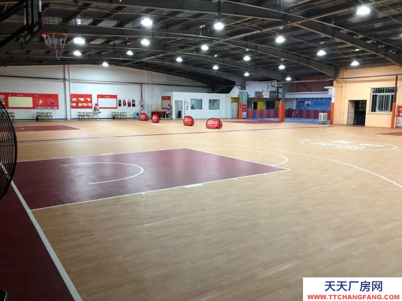 (出租) 西安新城标准篮球场地，4个篮板可升降。