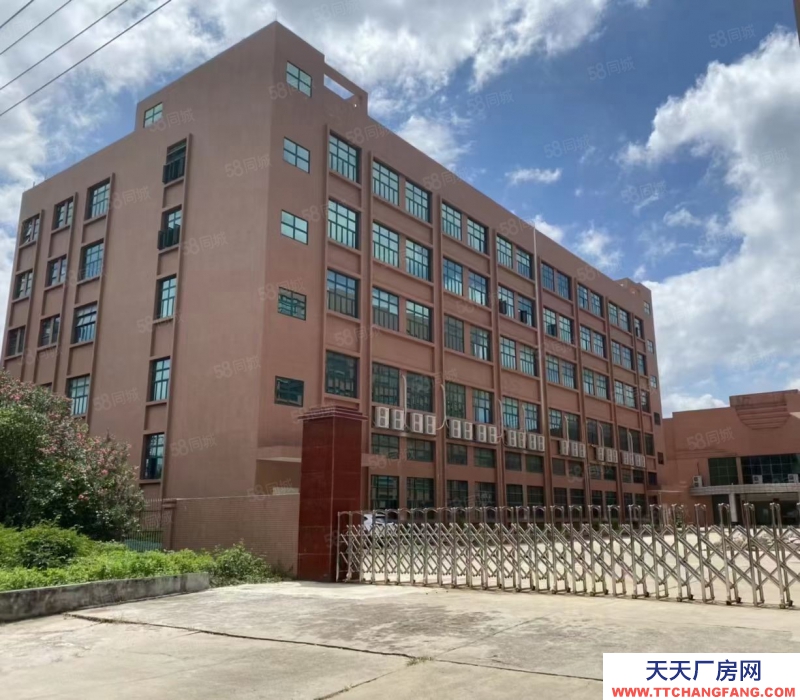 (出租) 中山横栏镇 新出标准厂房 工业园区大小面积随意分租 厂房仓库出租