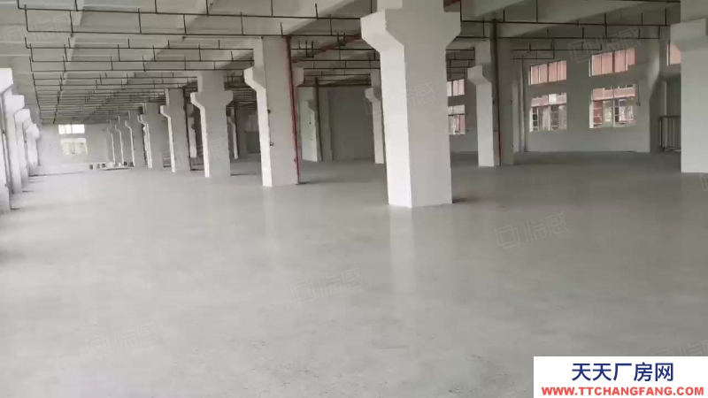 (出租) 中山横栏镇永兴工业区9000方楼上全新厂房出租分租每层3000方