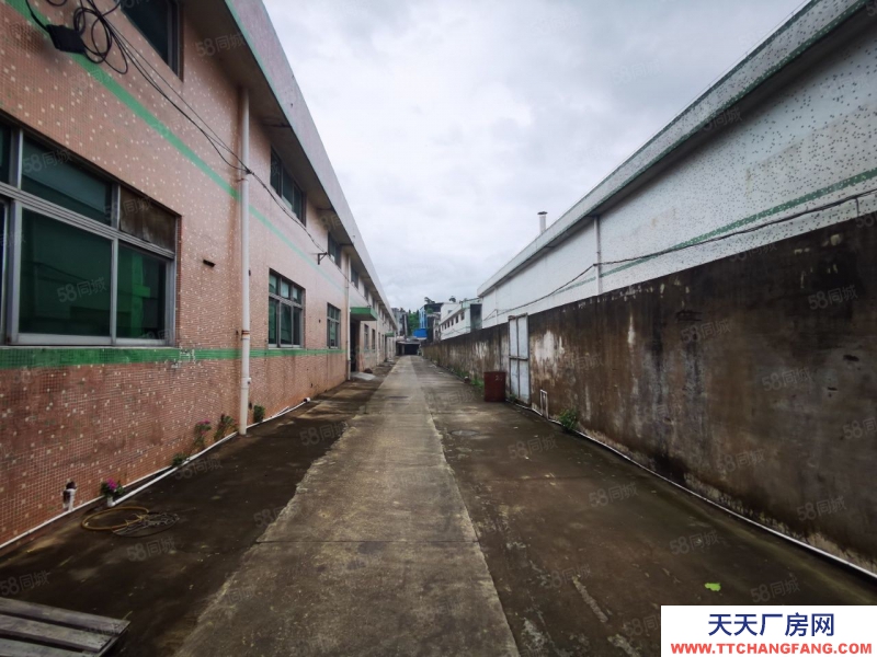 (出租) 中山南头阜沙独门独院红本厂房9798方出租，交通便利可办环评