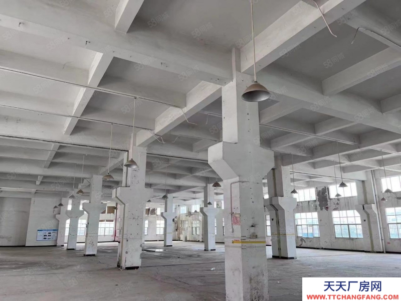 (出租) 中山南头阜沙独门独院红本厂房9798方出租，交通便利可办环评