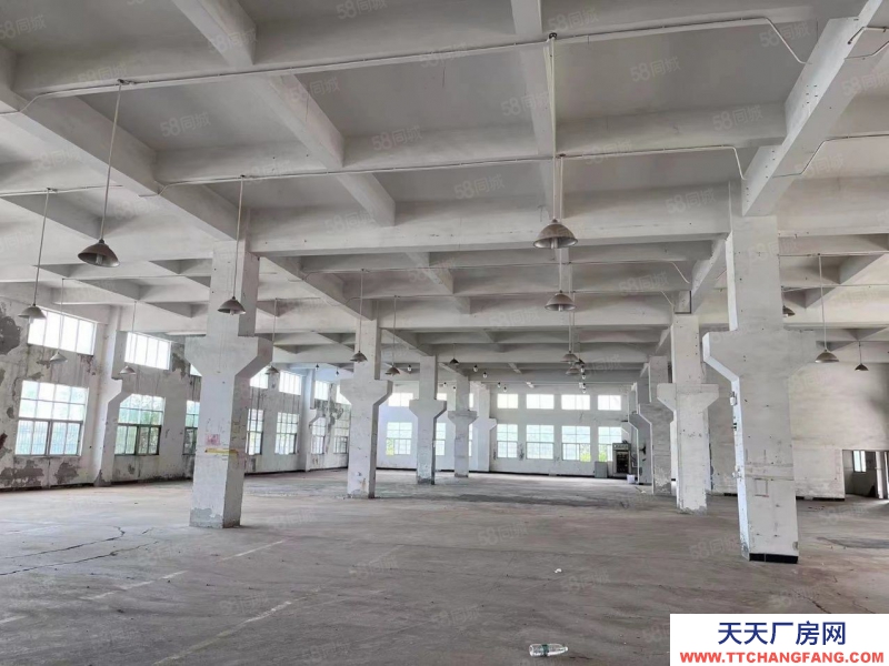 (出租) 中山南头阜沙独门独院红本厂房9798方出租，交通便利可办环评