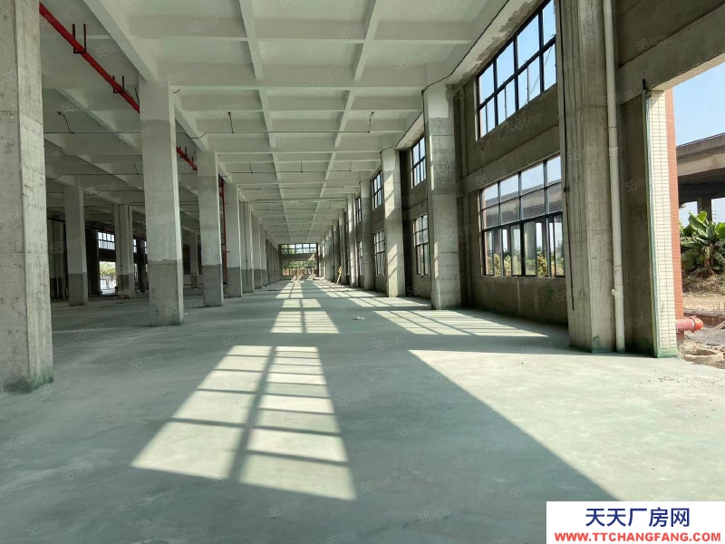 (出租) 中山三角化工区包环评厂房，500平起租