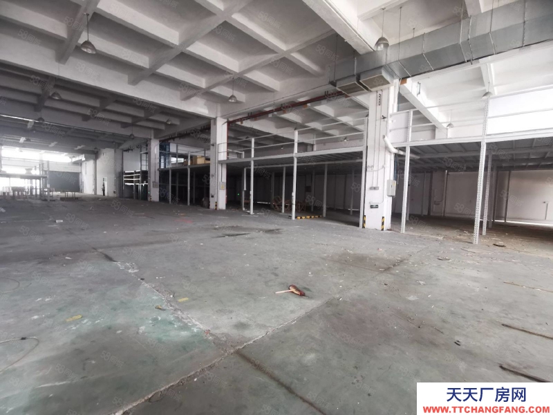 (出租) 中山三角新出原房东标准厂房2500平带现成装修阁楼可办环评高8米