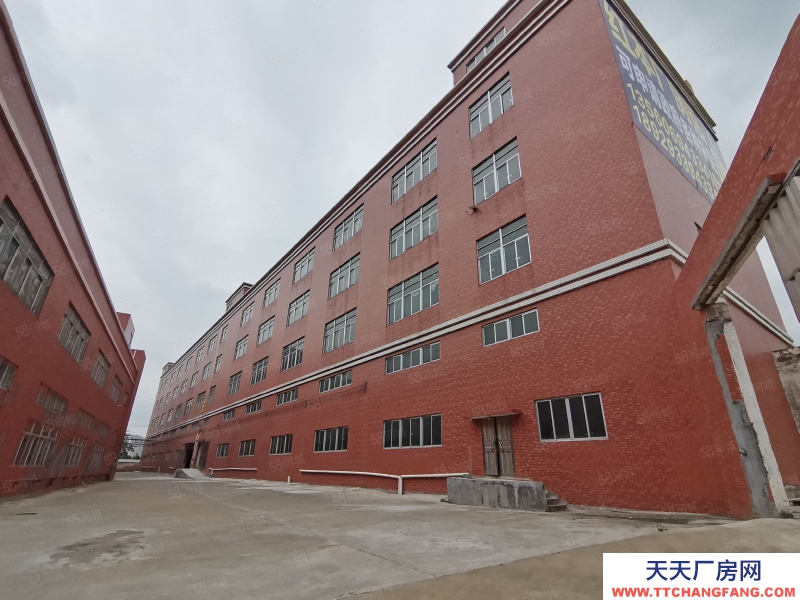 (出租) 中山三角区火炬原房东成熟工业区 空地超大 工业用地可办环评